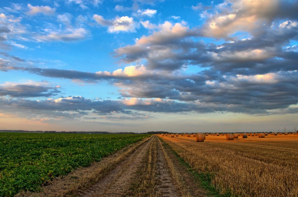 Adapter l'agriculture au changement climatique