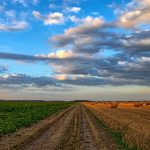 Adapter l'agriculture au changement climatique