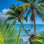 Le label Appellation d’origine du monoï de Tahiti expliqué simplement