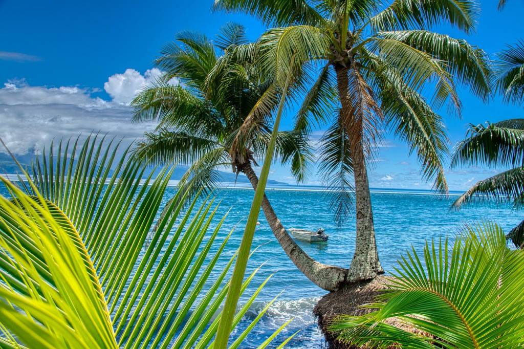 Le label Appellation d’origine du monoï de Tahiti expliqué simplement