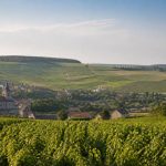 19/20 champagne ardenne : actualités, reportages et informations régionales en direct