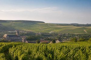 19/20 champagne ardenne : actualités, reportages et informations régionales en direct