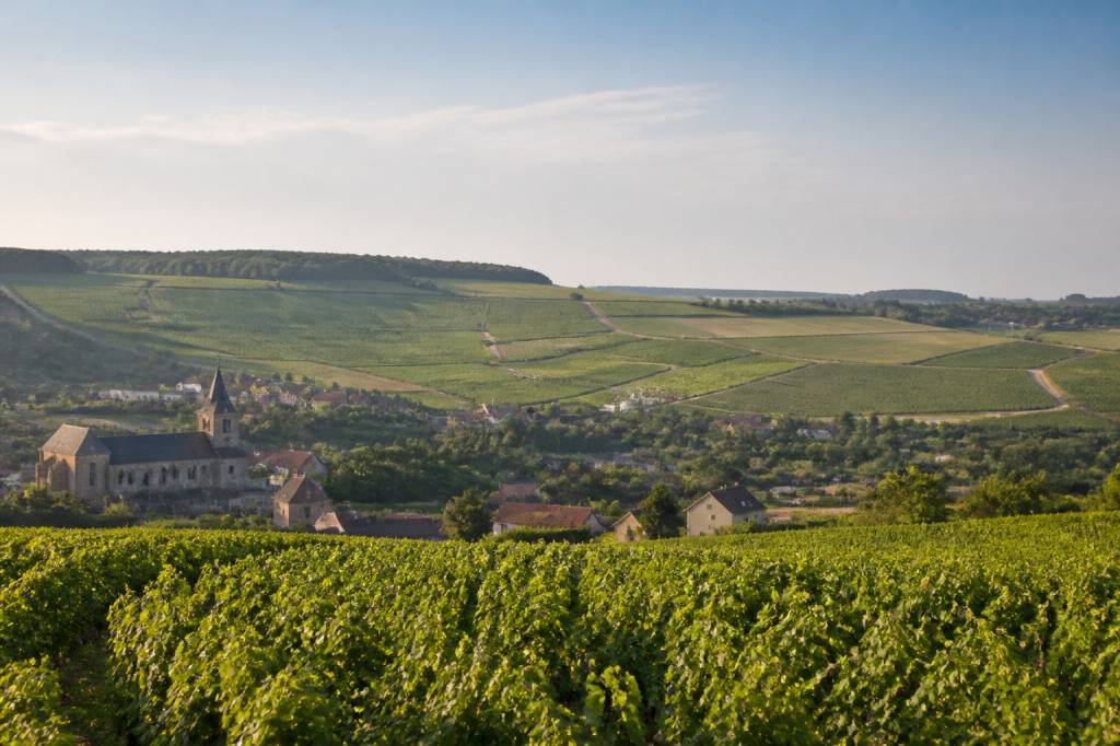 19/20 champagne ardenne : actualités, reportages et informations régionales en direct