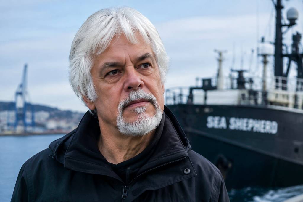 Asile politique de Paul Watson : enjeux juridiques et conséquences internationales